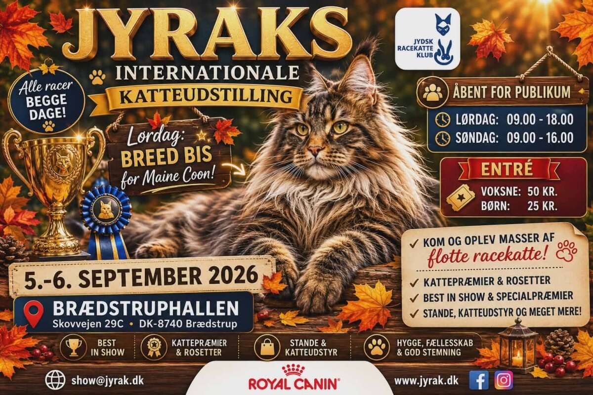Brædstrup show